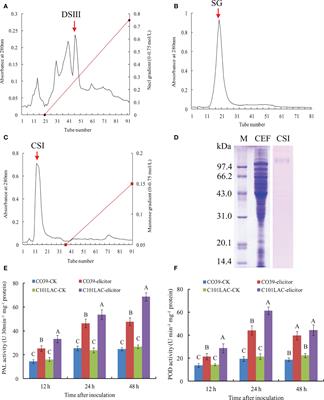 A novel elicitor MoVcpo is necessary for the virulence of Magnaporthe oryzae and triggers rice defense responses